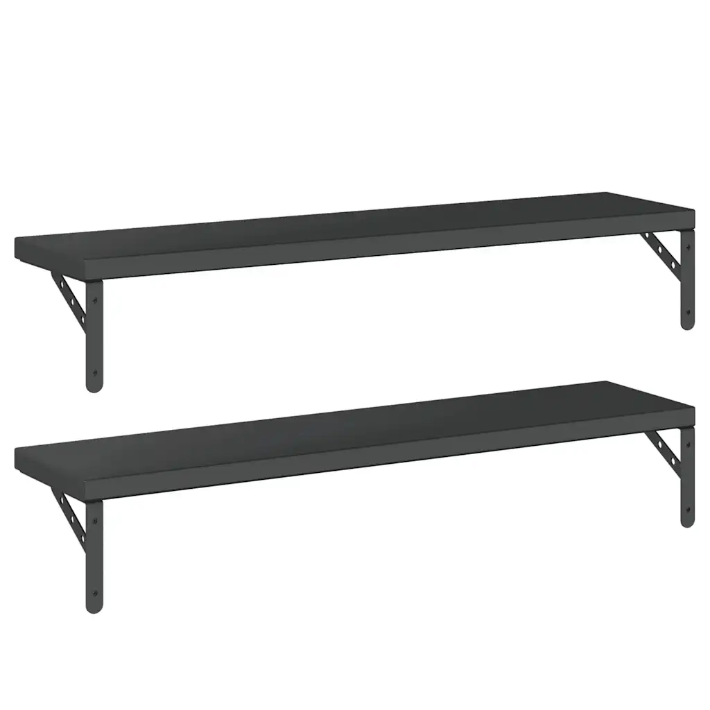 Mensole a Muro 2 pz 100x23,5 cm Nero in Acciaio Inossidabile