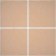 Pittura Murale Acril Silossanico Antialga Esterno - Rivestimenti Esterni B649 - Litri 14