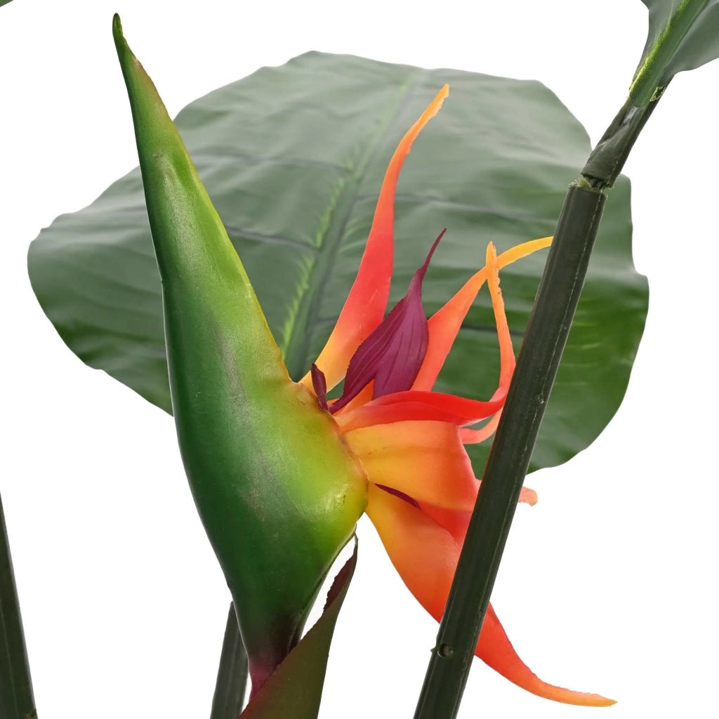 Pianta Artificiale Strelitzia Verde 70 x 18 x 155 cm CFW9182303