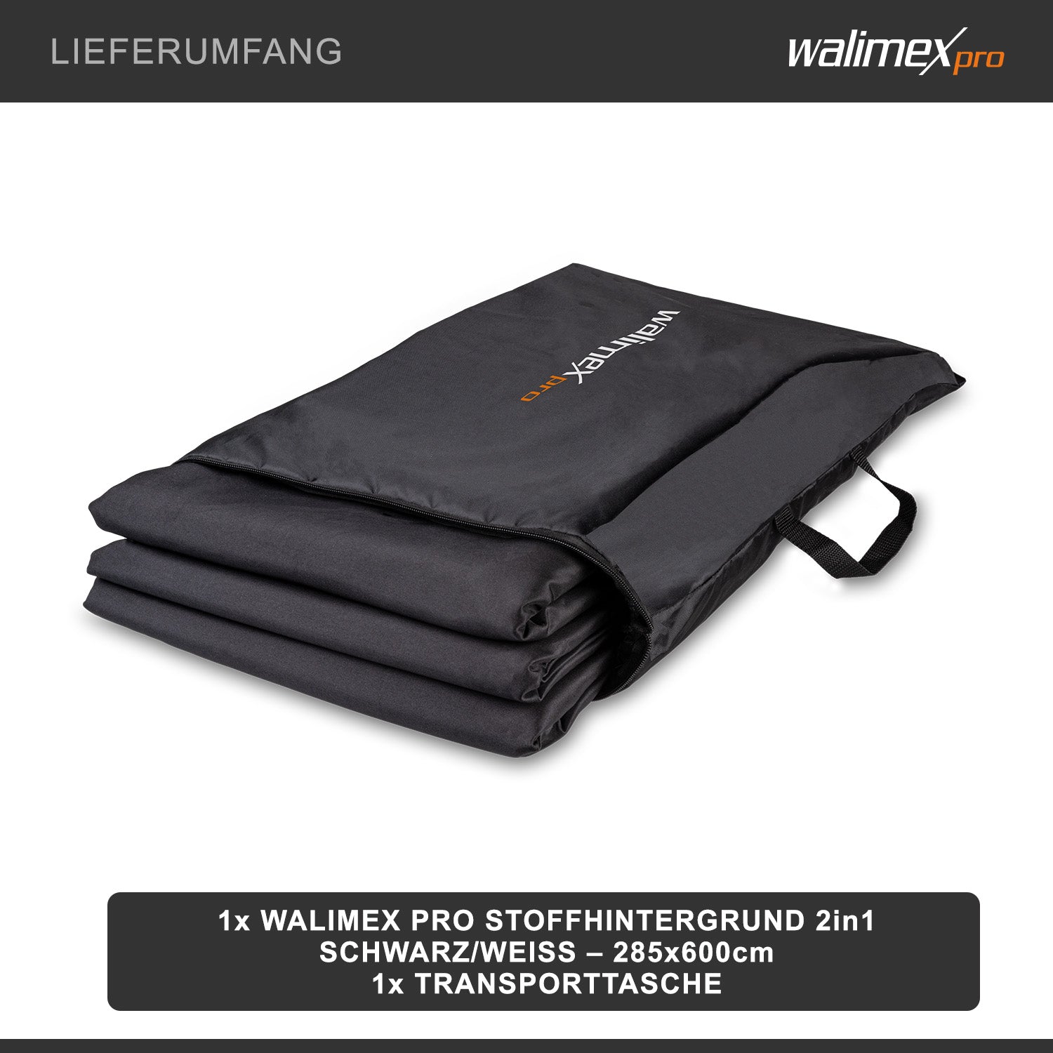 2in1 Sfondo in tessuto 2,85x6m, B/N