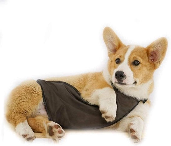Vest di comfort per cani e gatti con protezione pettorale e addominale
