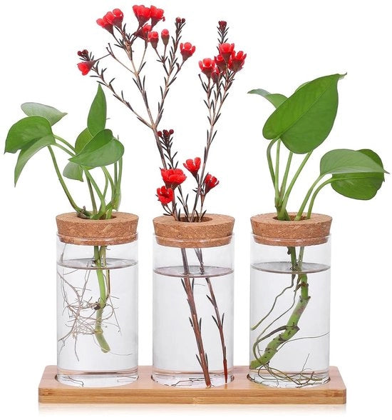 Stazione di crescita per piante, vasi di vetro per piante in hydrocultura, 3 vasi per coltivazione di piante in vetro, vaso di vetro per piante, per decorazione di tavolo e arredo domestico.