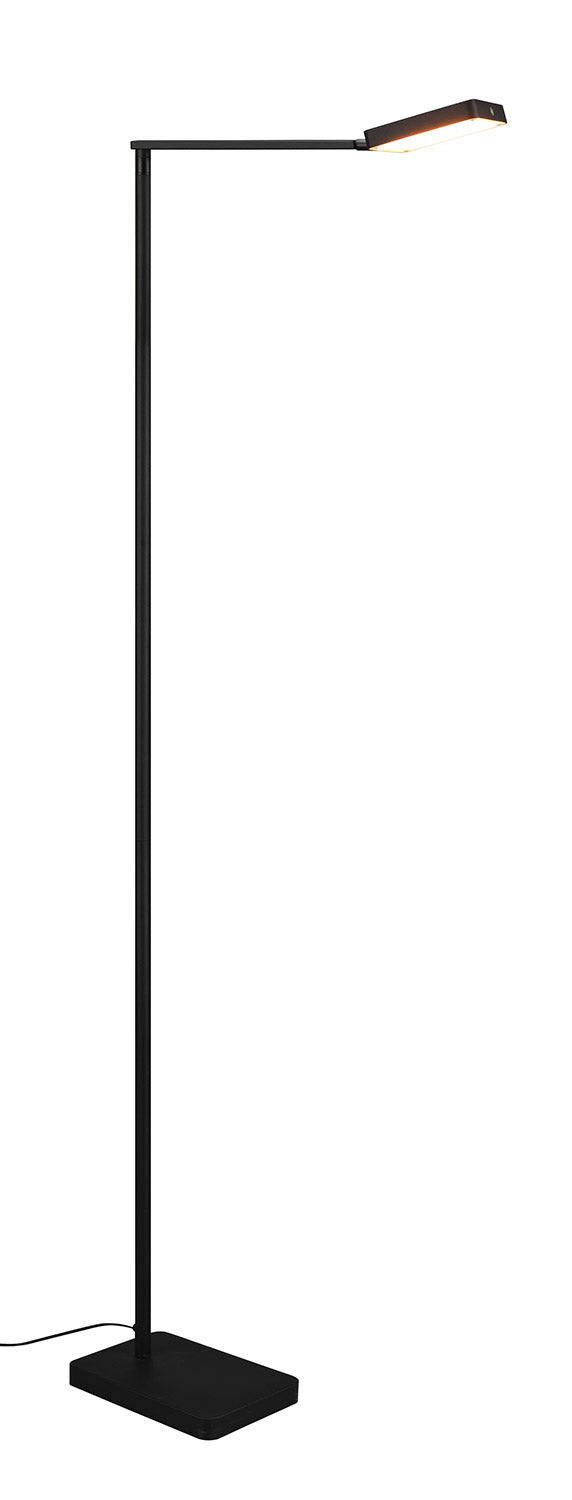 Piantana da Interno a LED in Metallo Nero Opaco