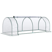 Serra da Giardino con Porte a Cerniera 250x100x80 cm in Acciaio e PVC Trasparente