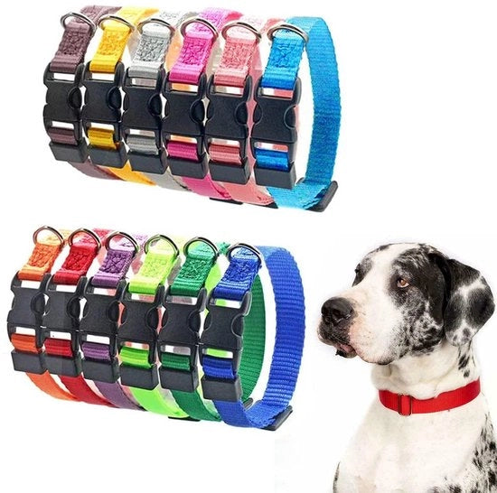Collare per cani adattabile - Collare di identificazione per cuccioli - Nylon - Chiusura di sicurezza - 12 pezzi - Adatto per cuccioli e gattini