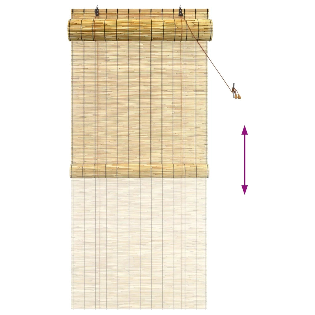 Tenda a rullo Naturale 100 x 220 cm Giunco 42034650