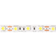 Striscia LED 5m 14,4W/m 6500K 800lm 12V IP20 dimmerabile Ecolight