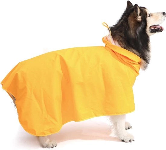 Impermeabile per Cani di Taglia Media con Cappuccio Trasparente e Striscia Abdominale Regolabile - Impermeabile per Avventura All'aperto Escursioni