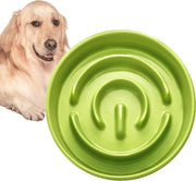 Lentilatore per cani in ceramica - Ø 21 cm 1000 ml - Verde limoengroso