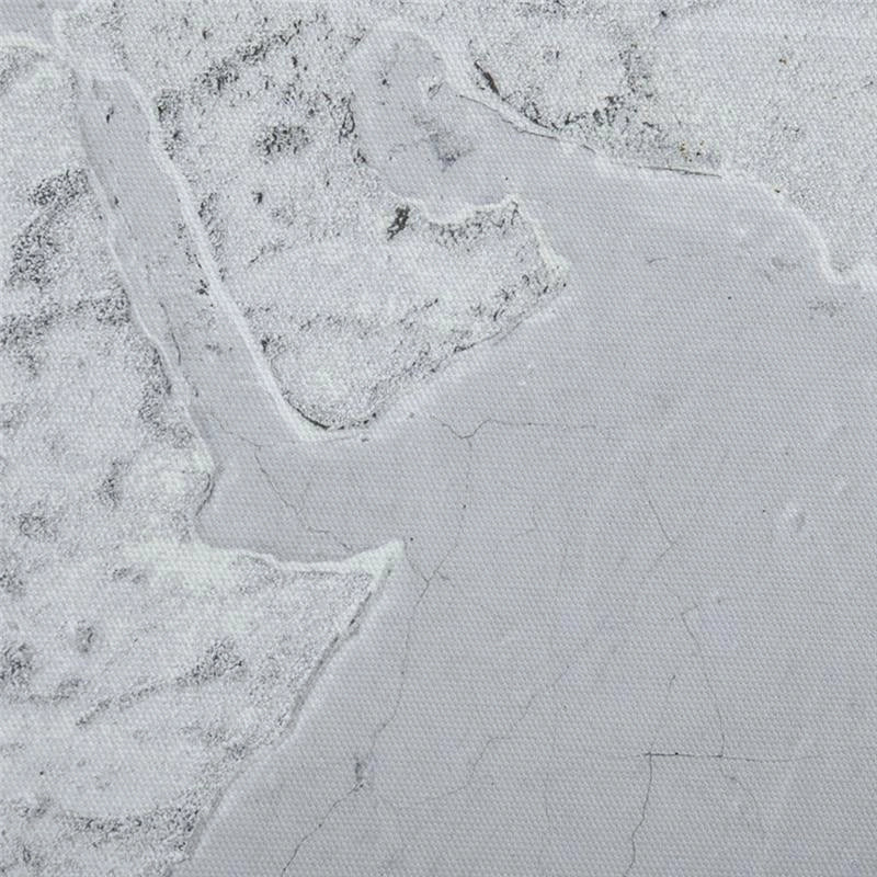 STAMPA SU TELA IN LEGNO DI PINO 120X90CM PER CASA E UFFICIO, GRIGIA E BIANCA