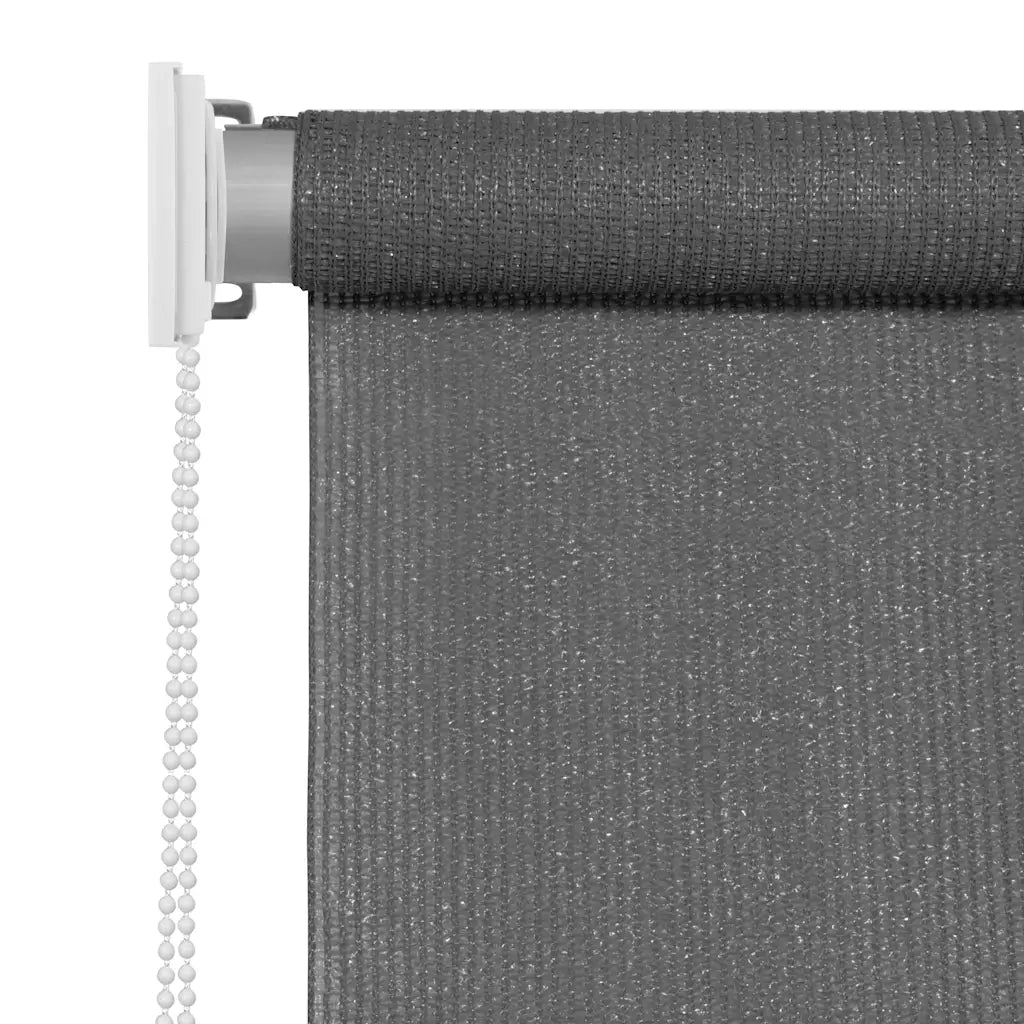 Tenda a Rullo per Esterni 225(L)x230(A) cm Antracite 43499