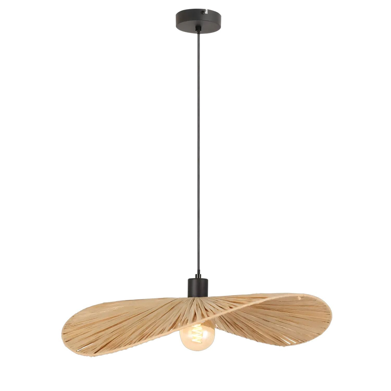 Lampada APP1826-1CP Nature Black