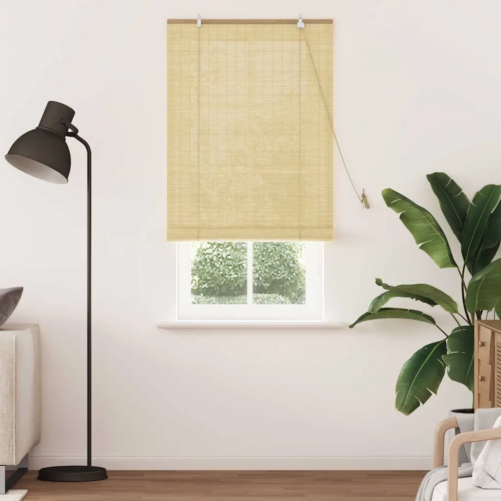 Tenda a rullo | Tenda avvolgibile Natura 90 x 220 cm Bamb¨´