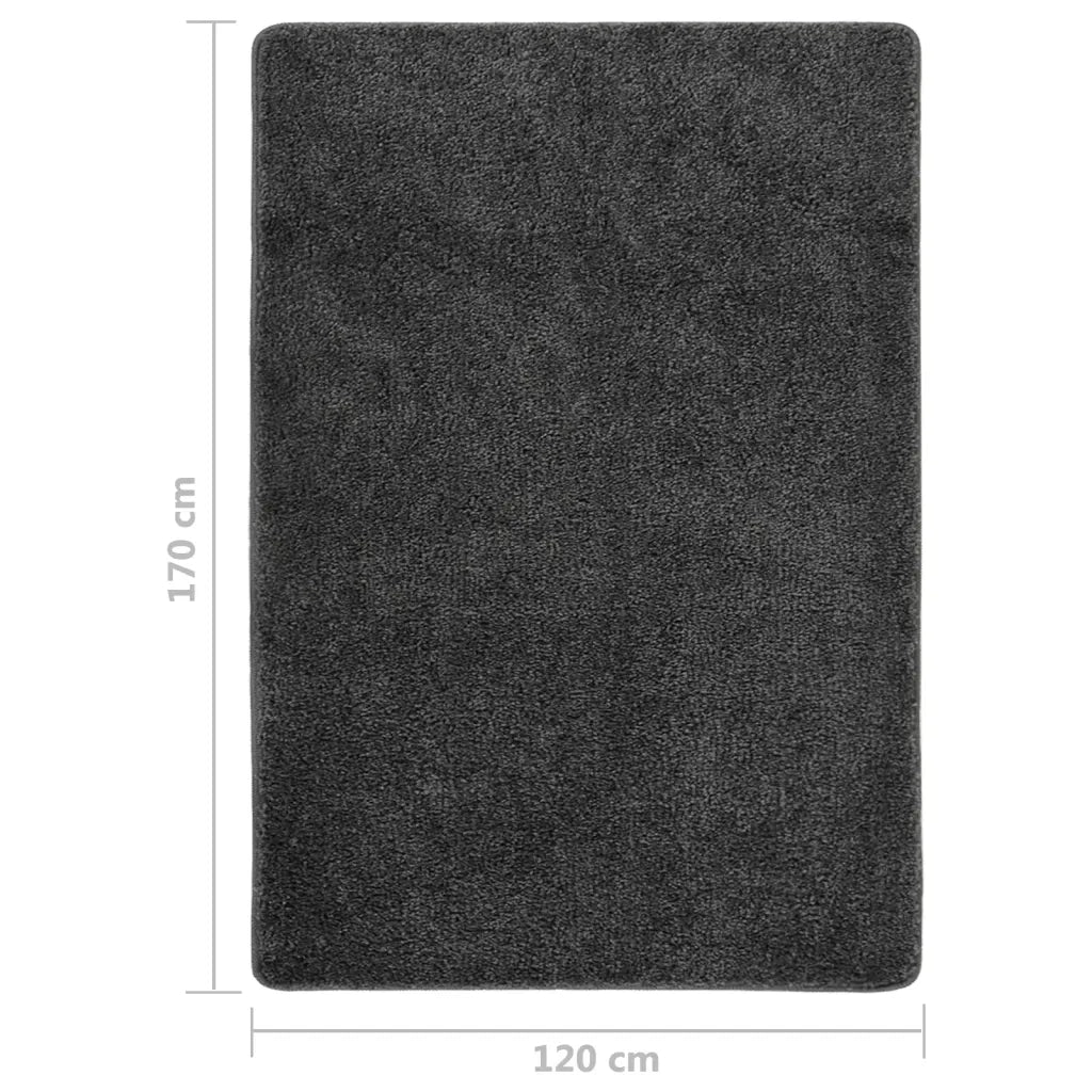 Tappeto Shaggy Grigio Scuro 120x170 cm Antiscivolo cod mxl 72224