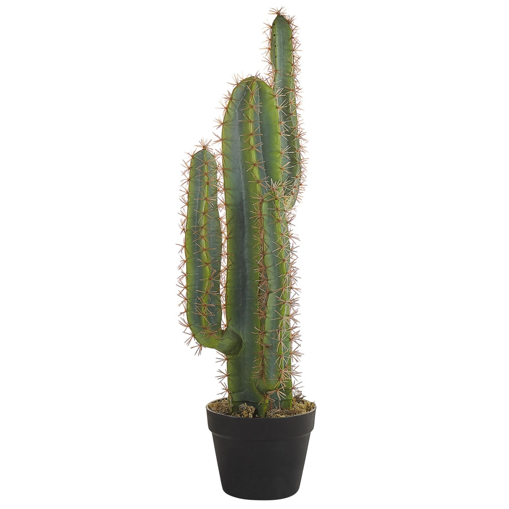 Pianta artificiale in vaso verde materiale sintetico vaso Nero 78 cm finto cactus accessorio decorativo per interni