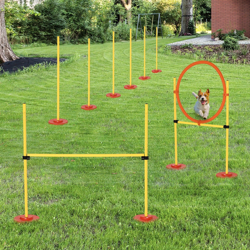 Set Agility Dog con 3 Esercizi ¨C zephmum ¨C Giallo e Rosso, 2.5 kg