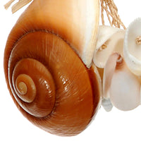 Set 6 Conchiglie da Appendere H 30 cm