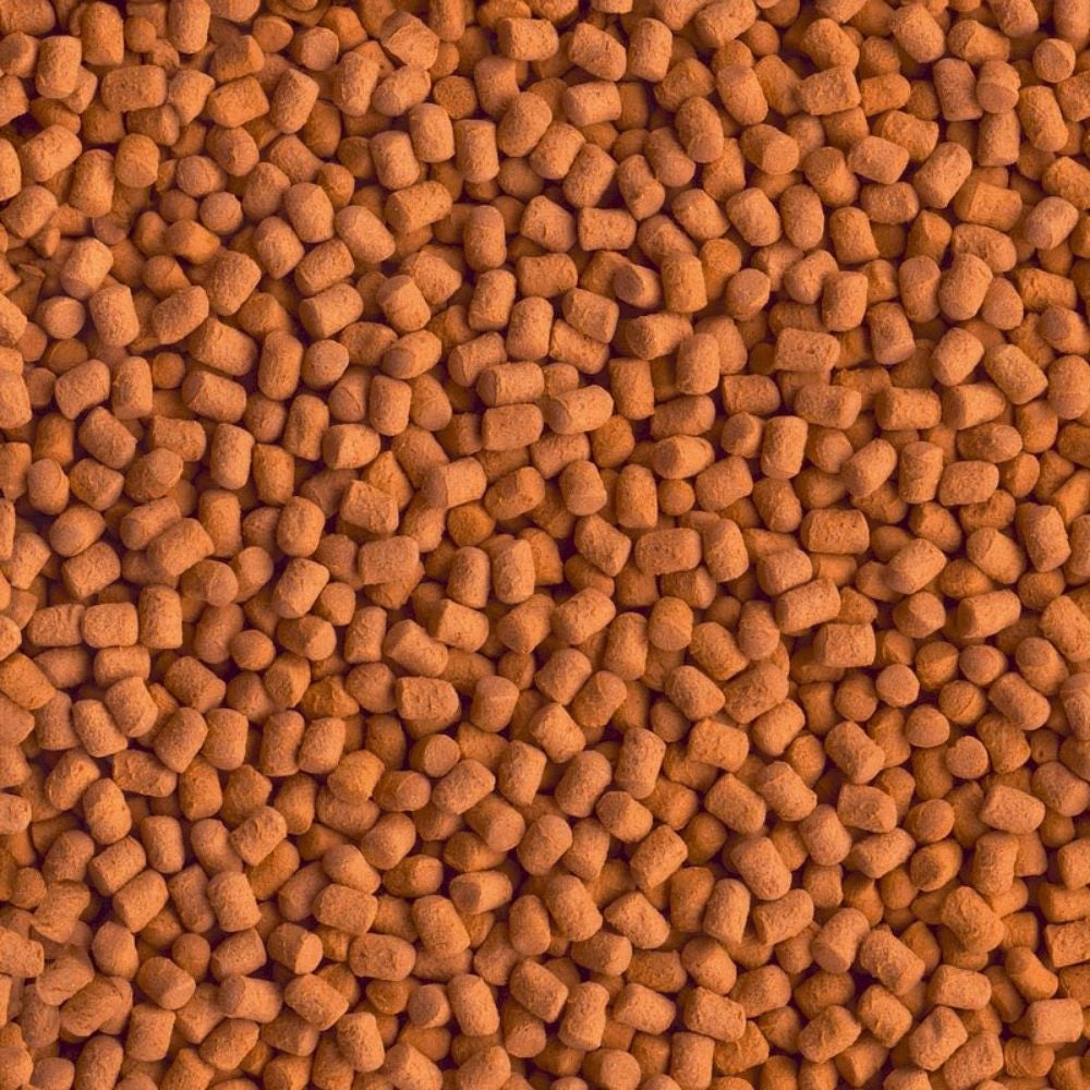 Tetra Reptomin Energy 250ml/85gr - Alimento Energetico in Pellet per Tartarughe Acquatiche
