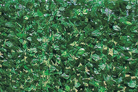 arelle sempreverdi lauro mt.1x3 doppia schermatura cm 100x300 cod:ferx.531