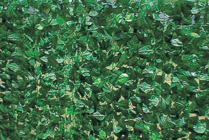 arelle sempreverdi lauro mt.1x3 doppia schermatura cm 100x300 cod:ferx.531