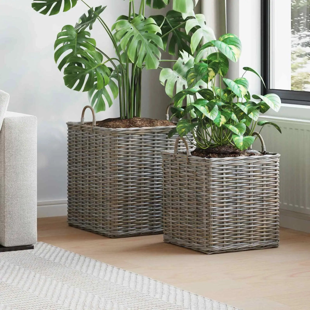 Cestino per Piante con archiviazione 2 pcs Grigio Rattan Lacak