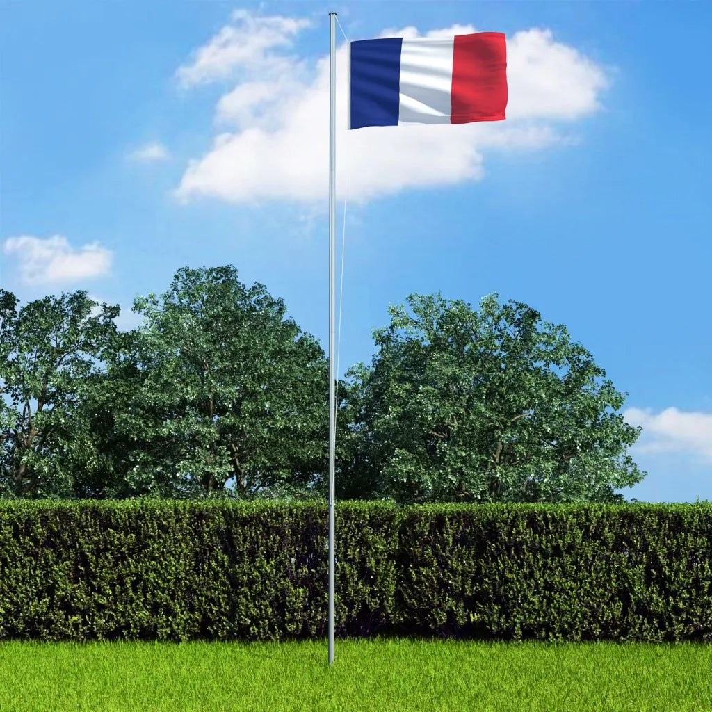 Bandiera della Francia 90x150 cm 146046