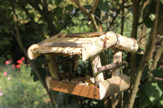 Mangiatoia Per Uccellini Natural