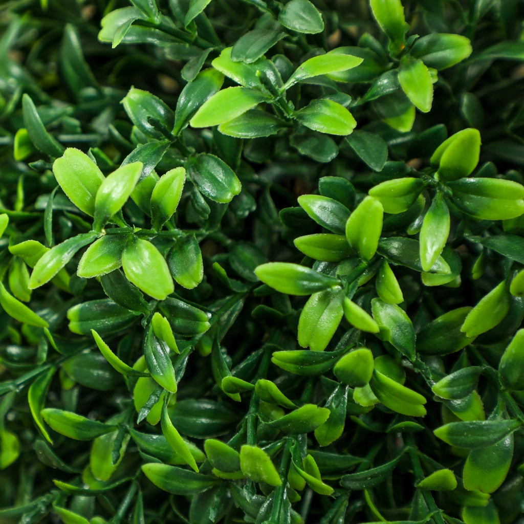Set 2 Pezzi Piante Finte Buxus Artificiali ¨C Minimal ¨C Verde con Vaso
