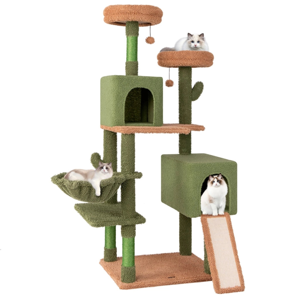 Albero per gatti 160cm a cactus con pali di graffiatura in sisal e scala, Torre per gatti multi-livello Verde-Alberi Tiragraffi