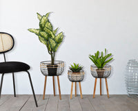 Set 3 Porta Vasi Oporto Ø 35x54,5-30x48-25x41,5 cm in Rattan