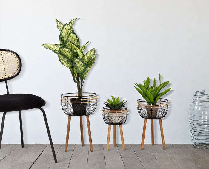 Set 3 Porta Vasi Oporto Ø 35x54,5-30x48-25x41,5 cm in Rattan