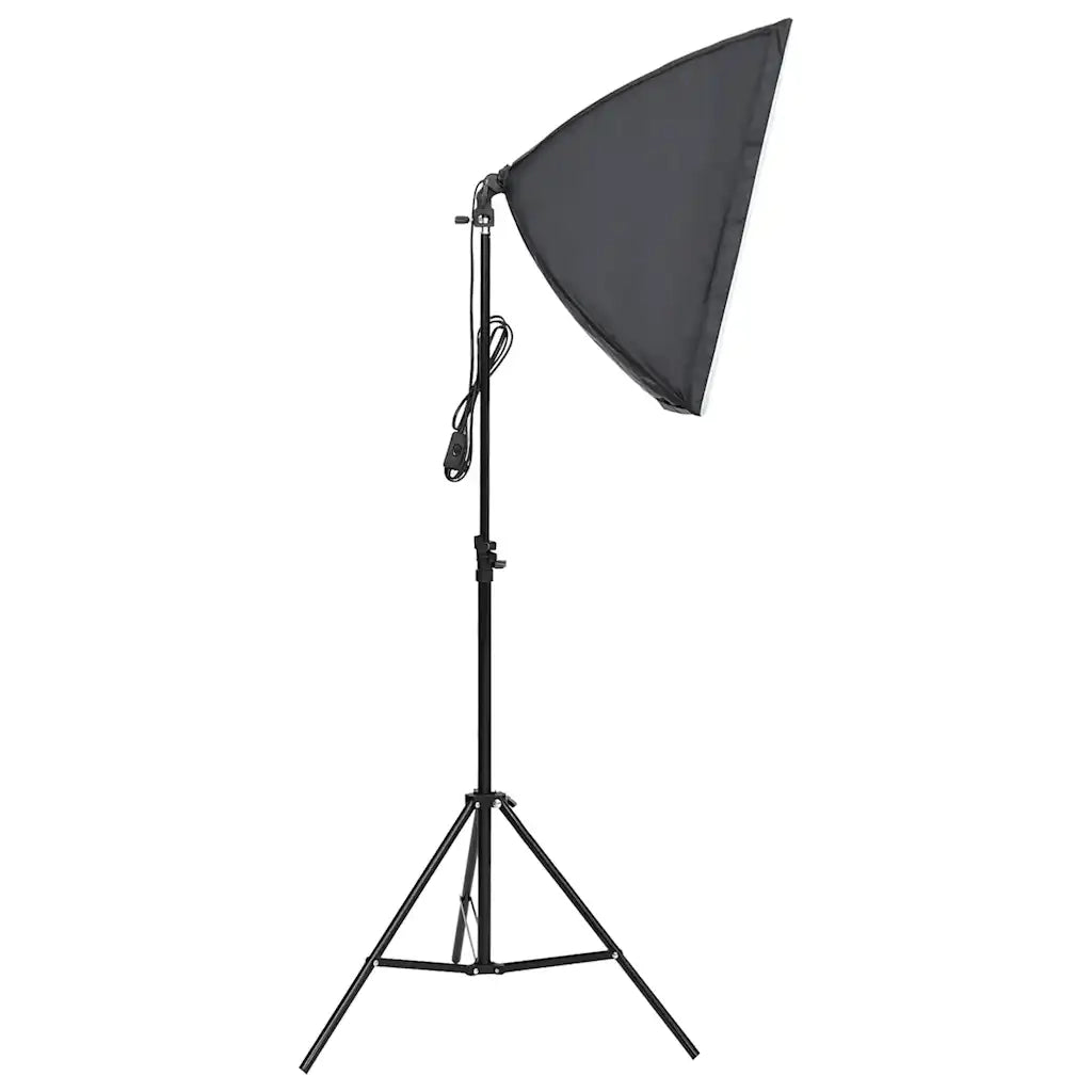 Luci Professionali da Studio 2 pz 40x60 cm CFW1392086