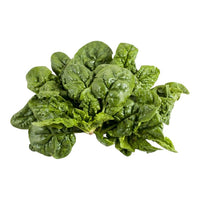 Semi di Spinaci Gigante d'Inverno 500 gr Hortus