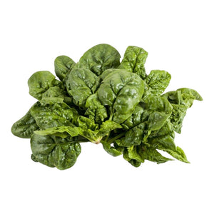 Semi di Spinaci Gigante d'Inverno 500 gr Hortus