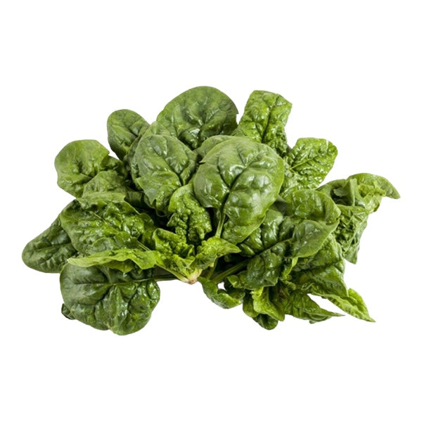 Semi di Spinaci Gigante d'Inverno 500 gr Hortus