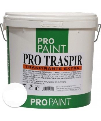IDROPITTURA TRASPIRANTE LT 13