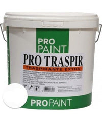 IDROPITTURA TRASPIRANTE LT 13