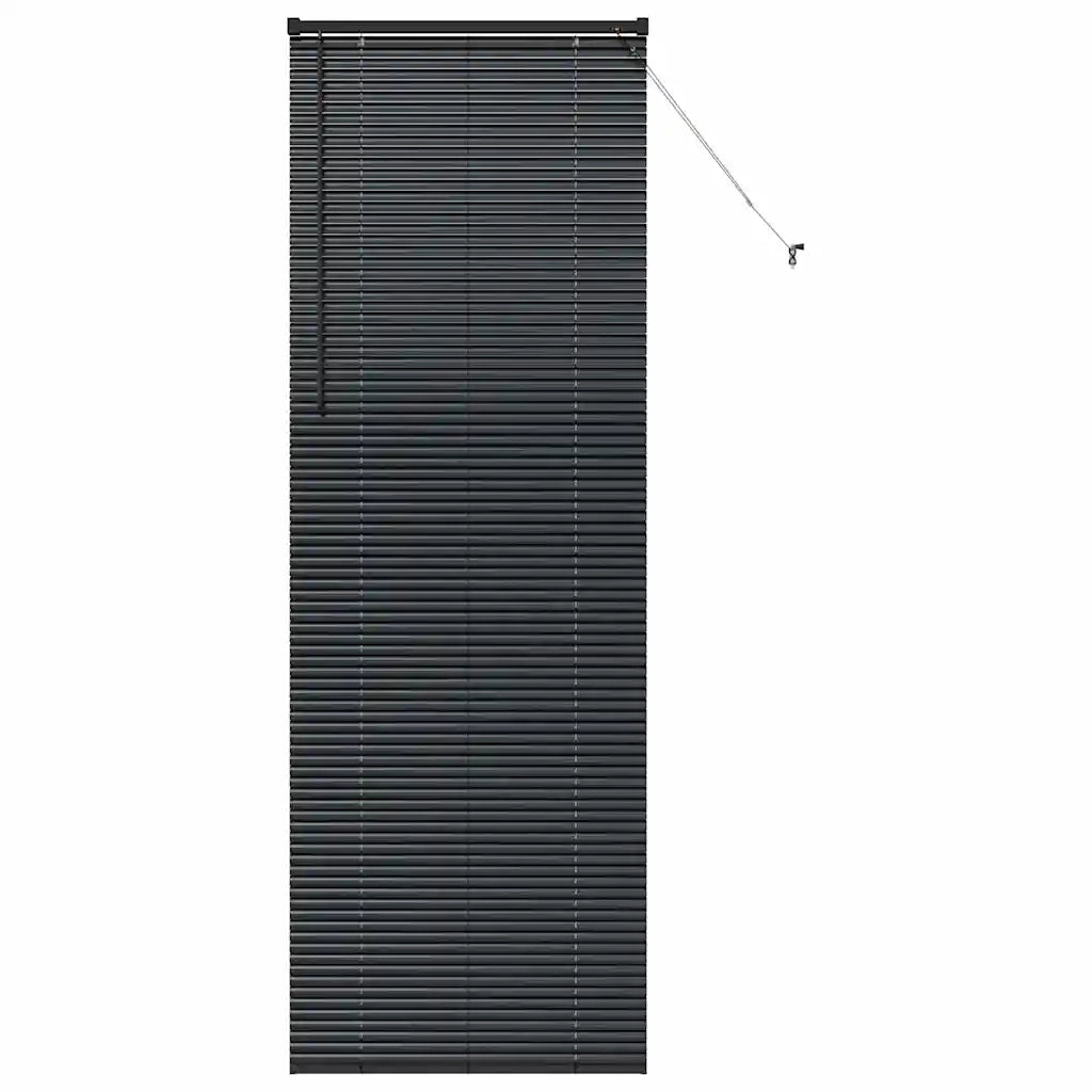 Tendaggi a Veneziana | Tenda a lamelle Nero 220 x 75 cm Alluminio