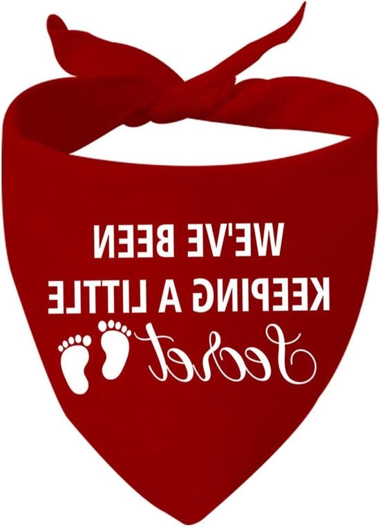 Strumento di misura dell'inclinazione per attività all'aperto - indicatore di pendenza e bilanciamento di angolo - attrezzatura di misura per livello di inclinazione