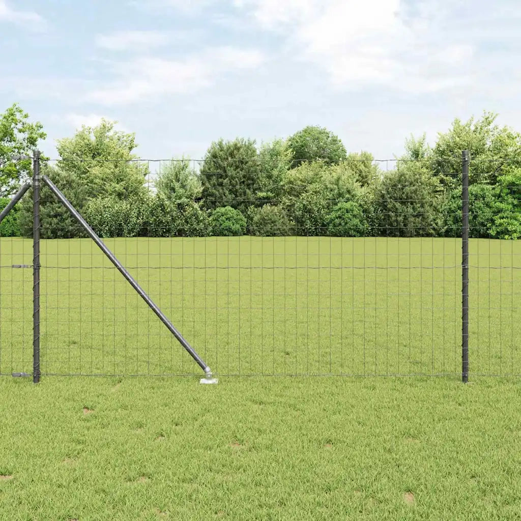Recinzione con Posto Grigio 1 x 25 m Acciaio