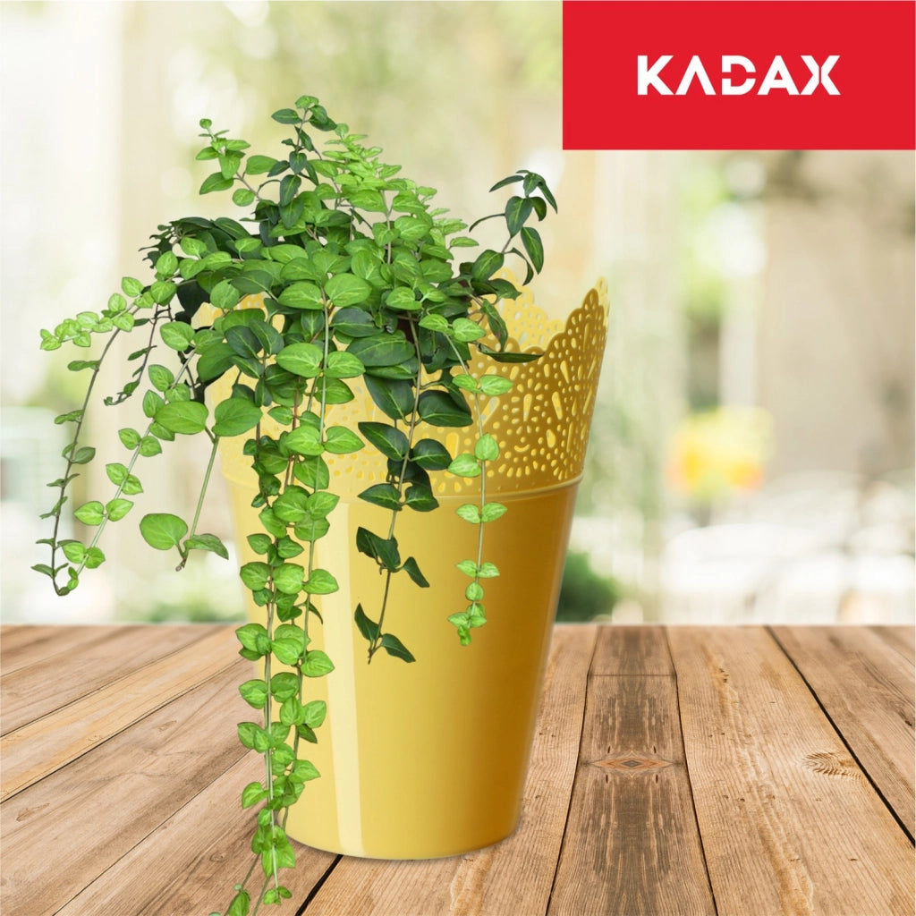 Vaso da fiori KADAX, vaso da fiori, coperchio, alto, in plastica, 16,5 cm, giallo