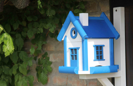 Nido Per Uccellini Swety Azzurro