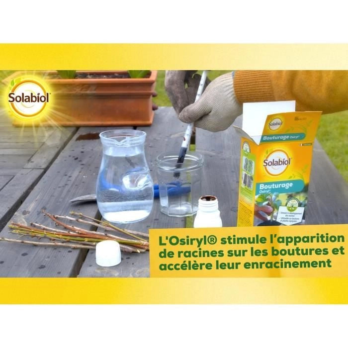 SOLABIOL SOBOUTU40 Taglio osirilico - 40 ml