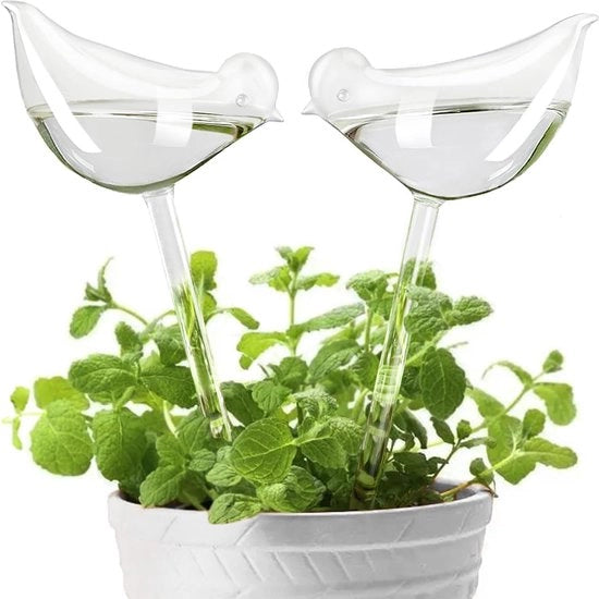 Palle auto-wateranti per piante, proiettili di acqua per piante con disegno di forma in vetro trasparente, erogatore d'acqua automatico per piante da interni e esterni, 2 uccelli