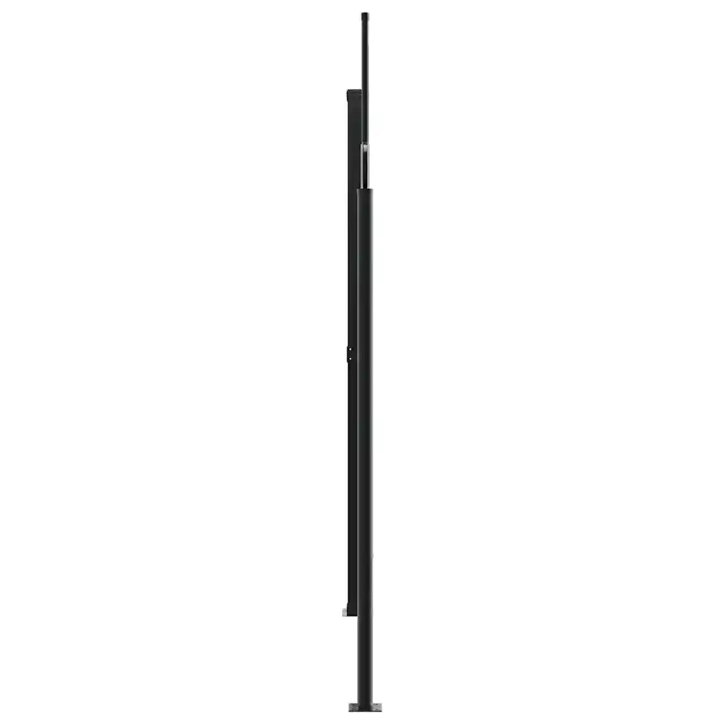 Tenda da Sole Laterale Retrattile Antracite 220x1000 cm 4004778