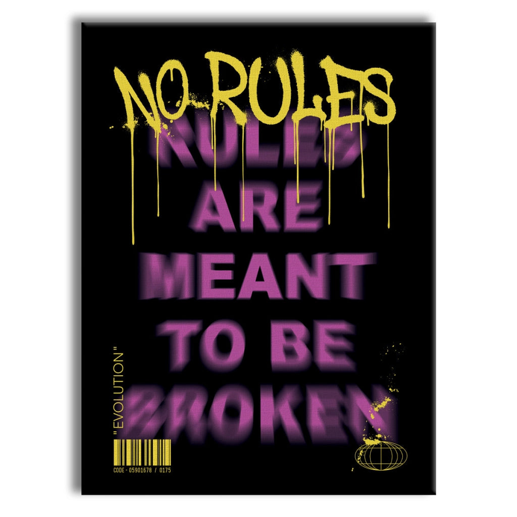 NoRules -  Quadro Canvas Contemporaneo su telaio in legno Misura: 50x70 cm