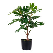 Pianta Artificiale Ficus, Verde, Polietilene, 40x40x60 cm