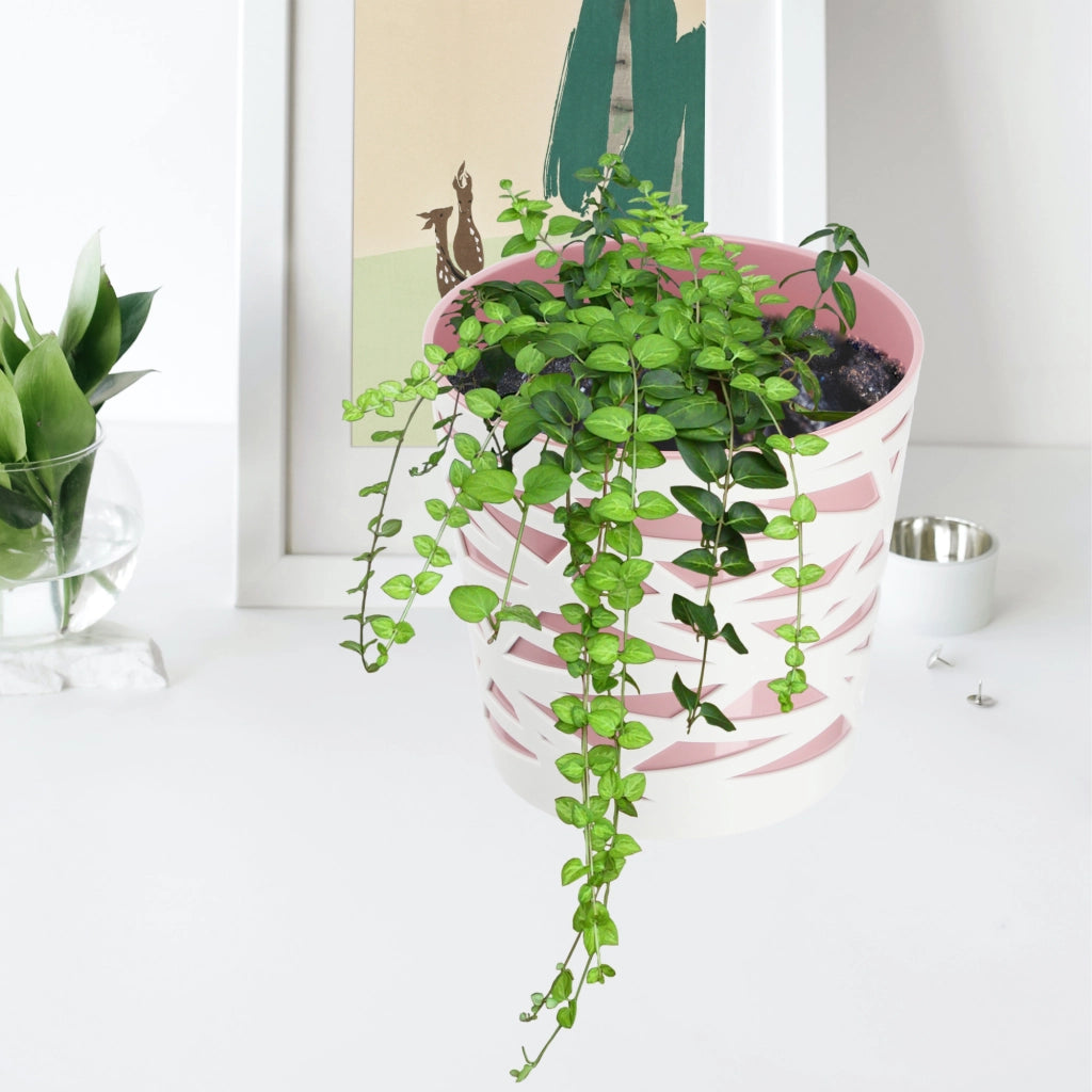 KADAX - Inserto in plastica per vaso di fiori e piante, 15 cm, rosa
