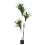 Pianta artificiale in vaso Uso interno Decorazione in plastica con vaso verde 165 cm Accessorio decorativo per interni