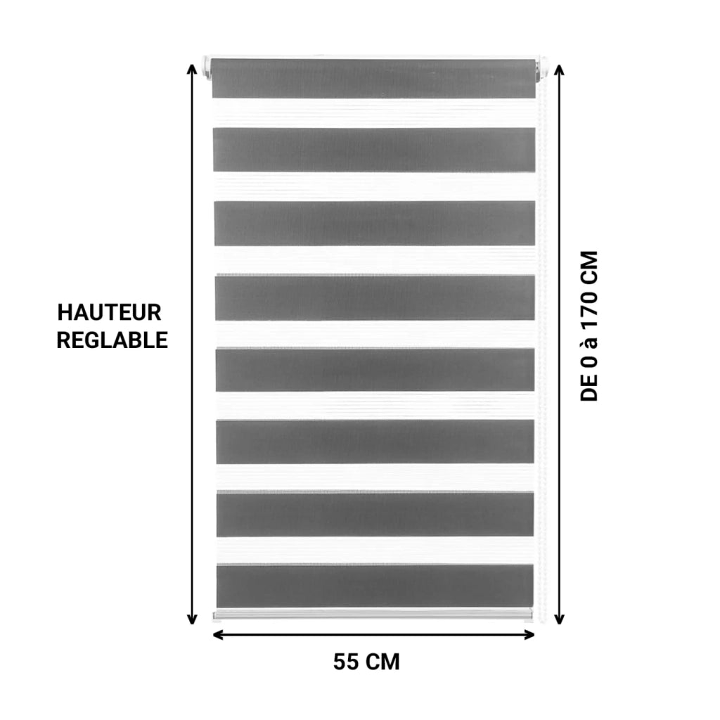 IDMarket - Set di 2 tende a rullo, giorno e notte, 55x170 cm, grigio